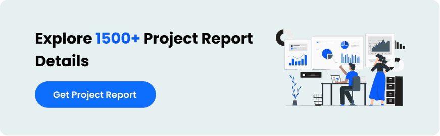 project-report